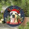 Pawarts | Cute Christmas Pet Portrait Ornament - Pawarts