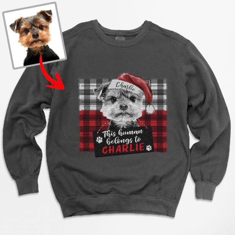 Pawarts | Xmas Customized Dog Comfort Color Sweatshirt [Best For Dog Dad] - Pawarts